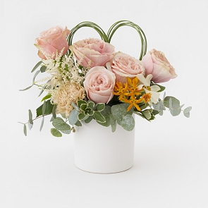 HLP017S LENA 粉橘鮮花盆栽